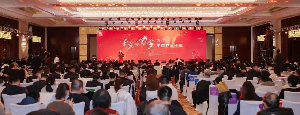 “养老的力量”——中国社会福利与养老服务协会2025年年会在京举办